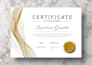 custom award course training certificates print ready editable